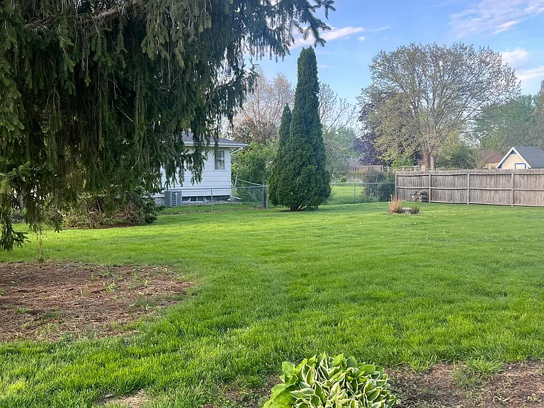 Backyard View