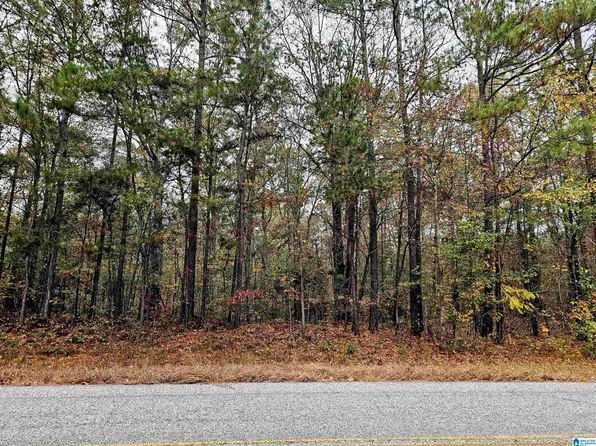 Unkn County Rd #60-1, Heflin, AL 36264