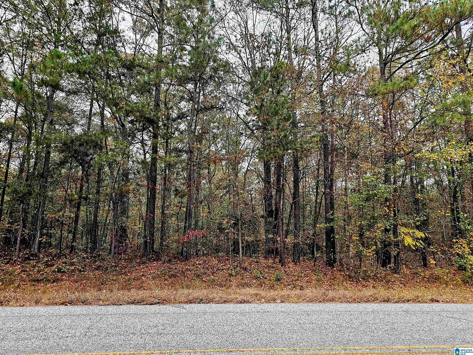 Unkn County Rd #60-1 photo 1