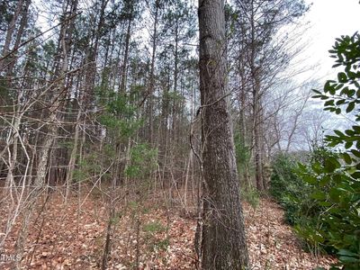 0 S Owen Ln, Littleton, NC, 27850
