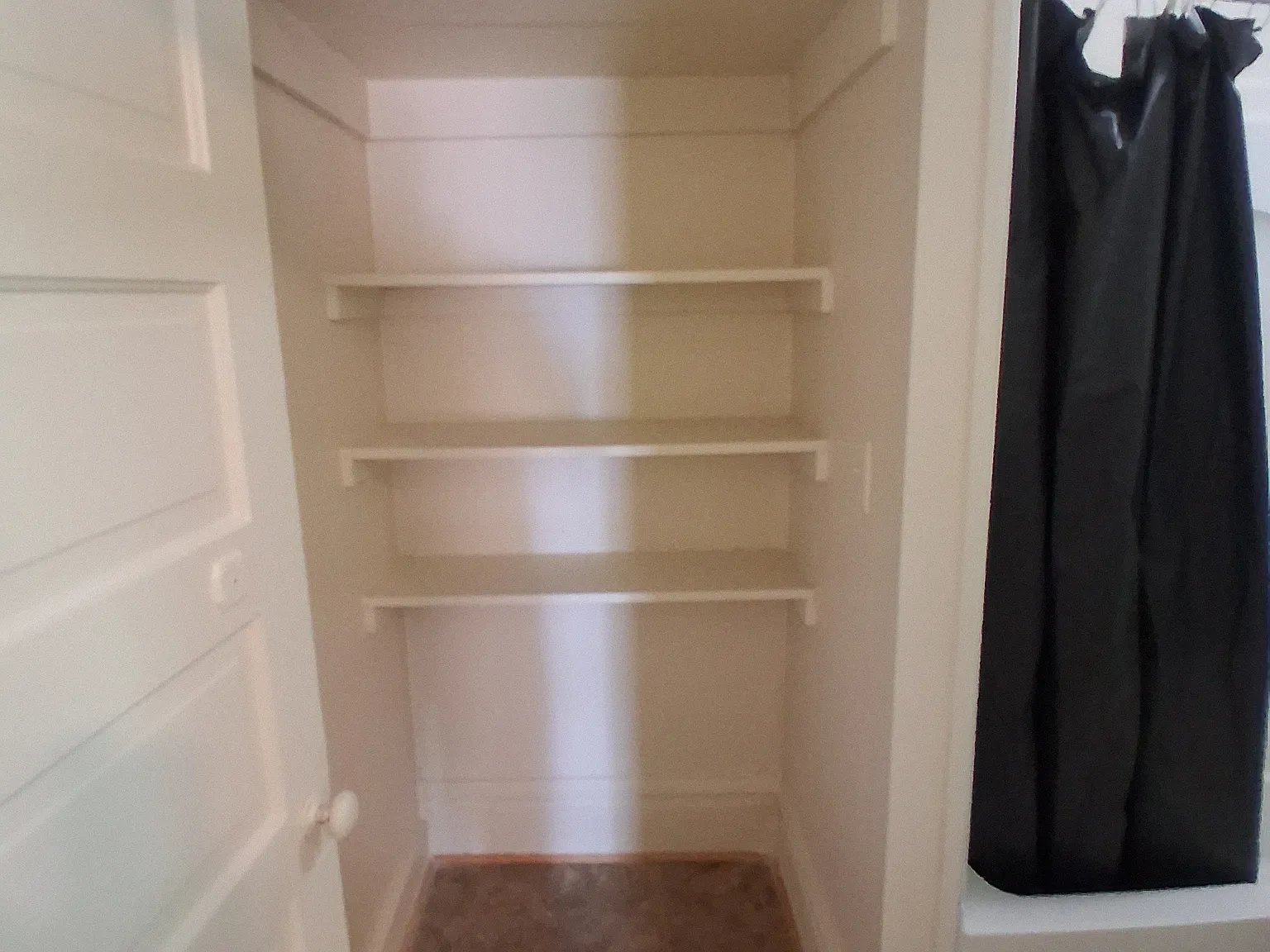 1 bed, $895 — Photo 2