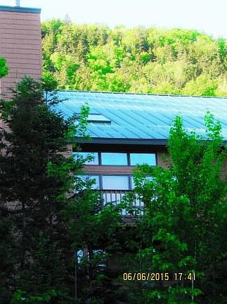 Surrounded by calming greenry