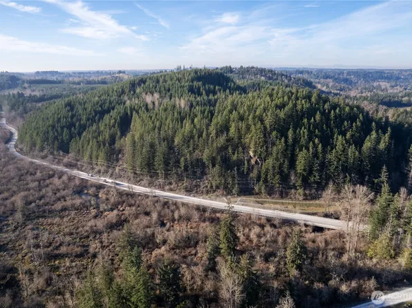 0 290.4-ac Orville Road E, Orting, WA 98360
