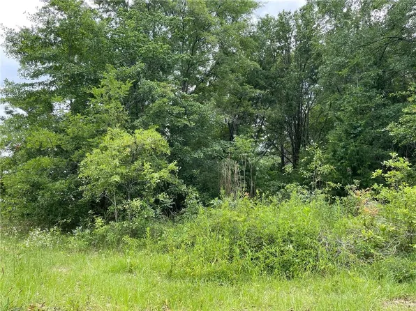 8380 S Shore Dr, Citronelle, AL 36522