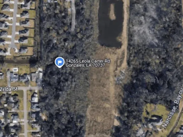 14265 Leola Carter Rd, Gonzales, LA 70737