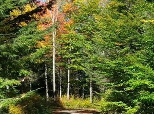 68 Briggs Allen Rd, Candor, NY 13743