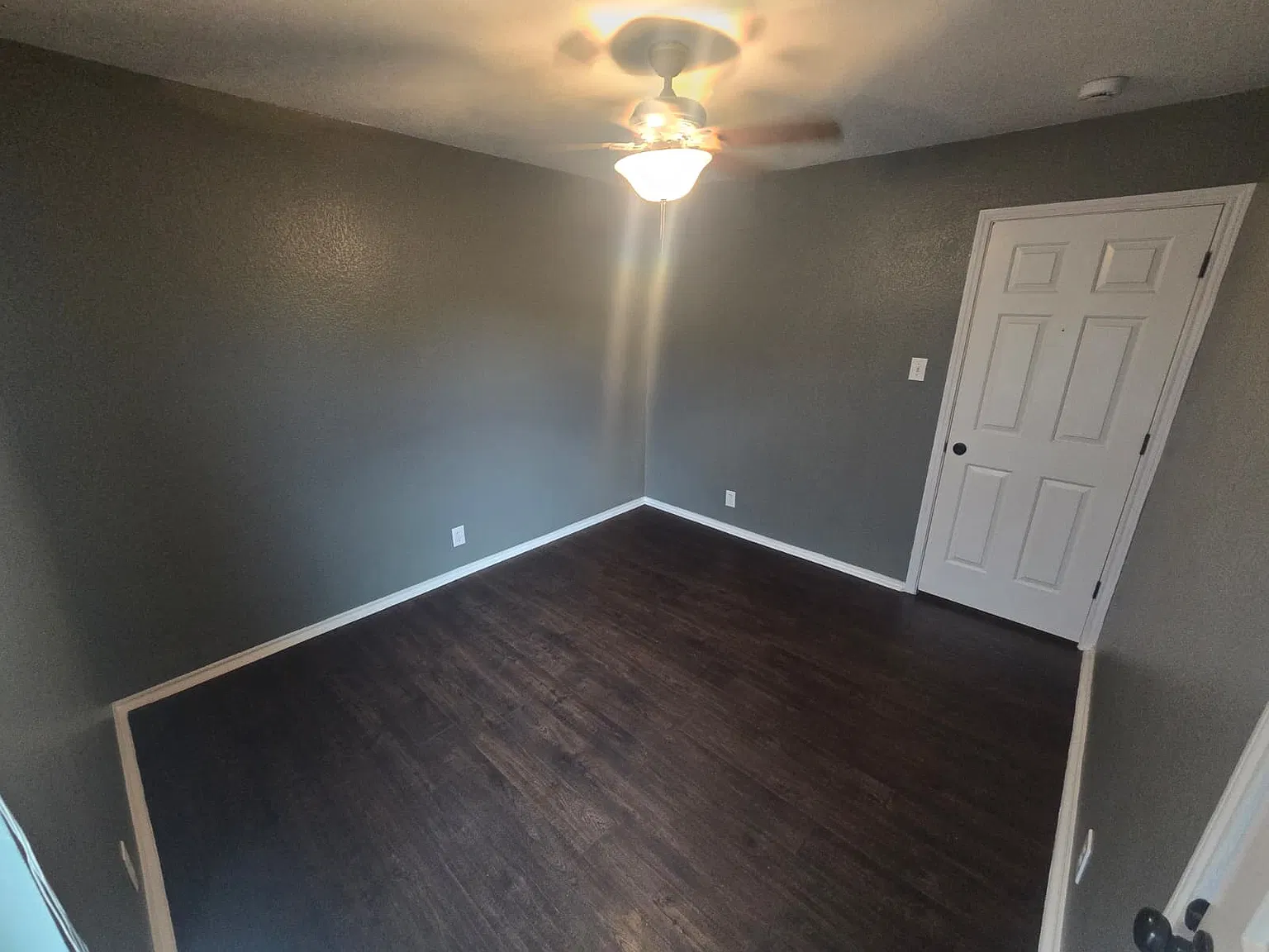 1 bed, $499 — Photo 2