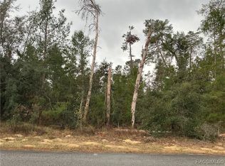 36 Matricaria Ct, Homosassa, FL 34446