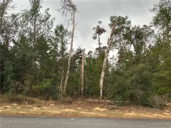 36 Matricaria Ct, Homosassa, FL 34446