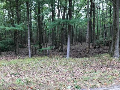 Timber Ridge Dr, Manistee, MI, 49660