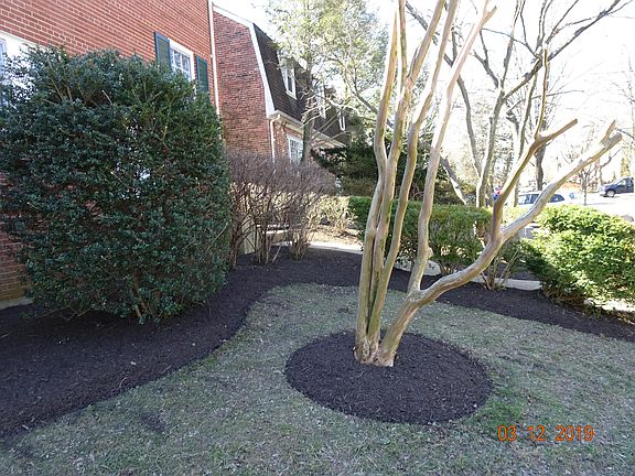 Front yard