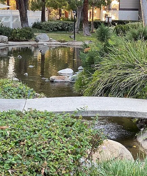 20702 El Toro Rd #406 — Photo 24