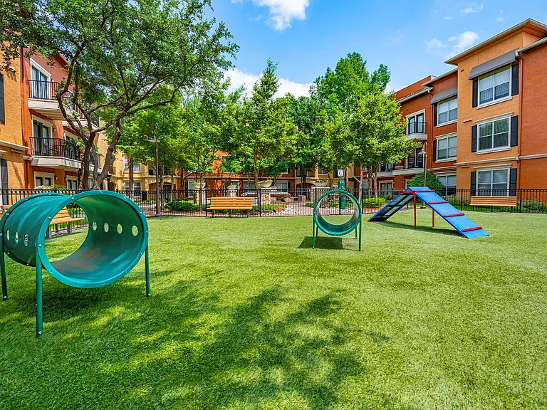 Allura Las Colinas — Photo 6