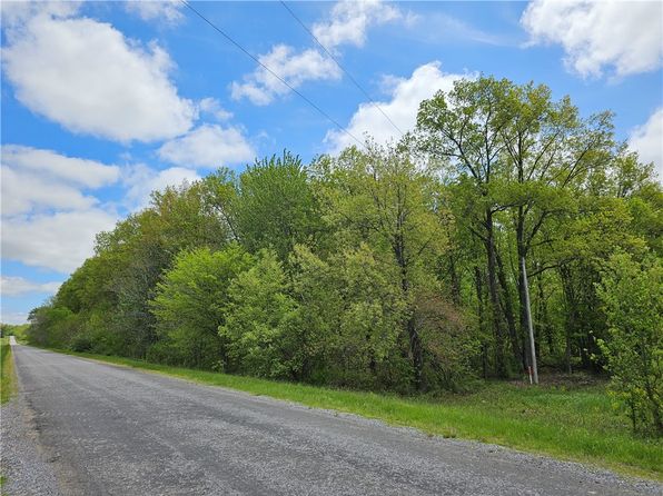 County Road 100 N, Fairfield, IL 62837