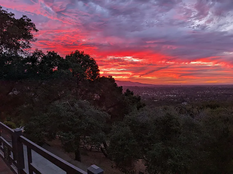 No this is not fake or retouched. Capture July 11, 2026 with a humble Pixel 5.
