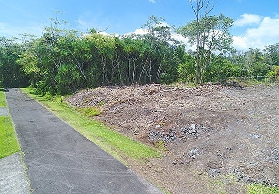 5th image of Opakapaka St Lot 1651