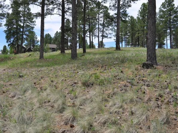 1615 E Morgan Run Dr, Flagstaff, AZ 86005