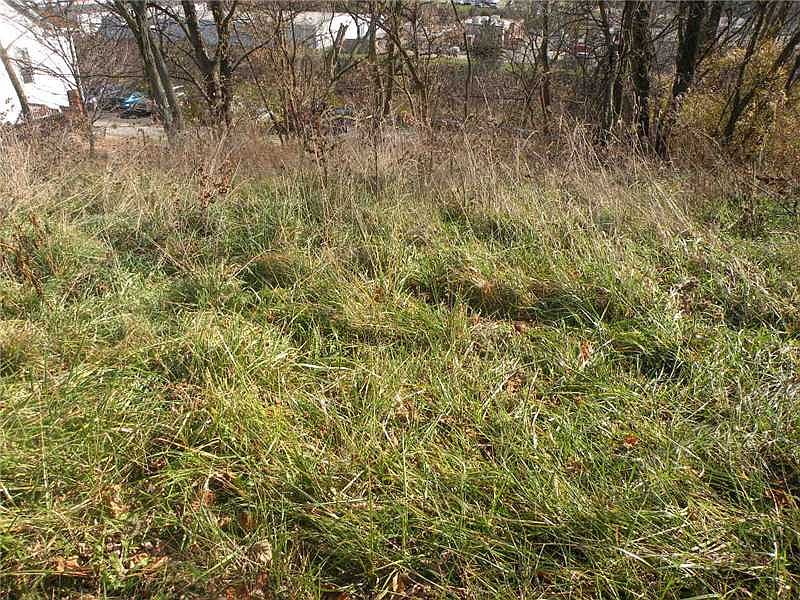 1st image of 123 Adams Ave