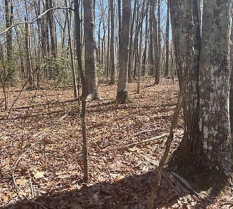 4th image of 0 Reeves Rd