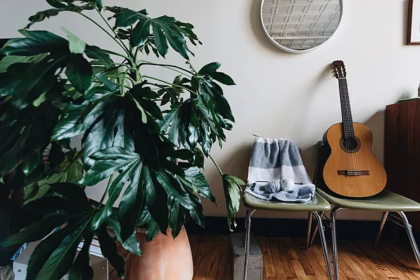 Rented by Nooklyn NYC LLC | media 11