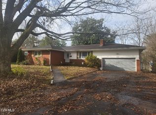 1509 W Lakeview Dr, Johnson City, TN 37601