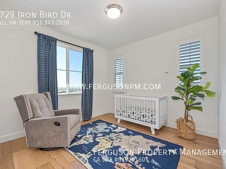 4729 Iron Bird Dr — Photo 21