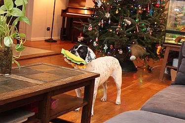 Sold by Gotham West Realty LLC