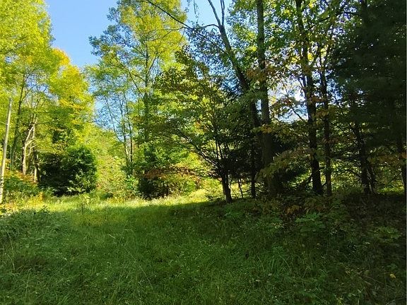 3rd image of 28768 Township Road 29