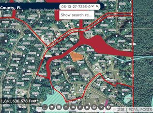 105 Delray Ct, Georgetown, FL 32139