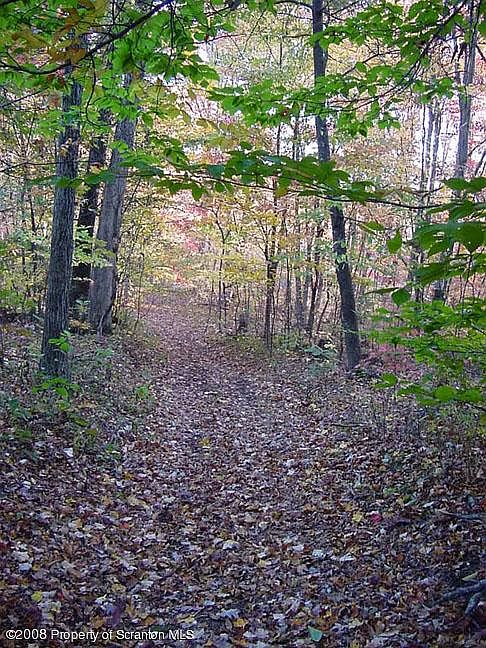 2nd image of State Route 171