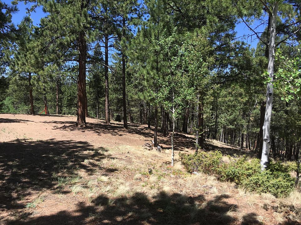 826 Chipeta Creek Trl, Florissant, CO 80816 Zillow