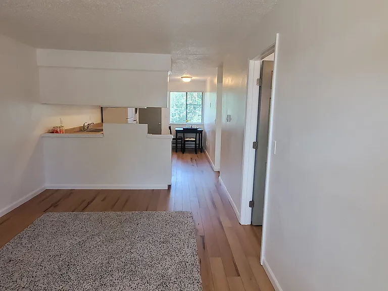 Rainier Terrace — Photo 7