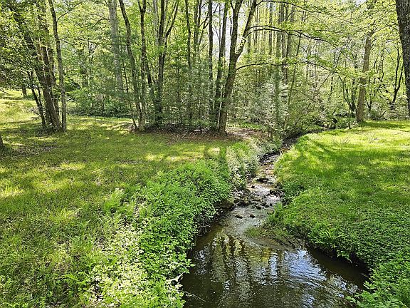 5th image of 166 Finch Knob Rd