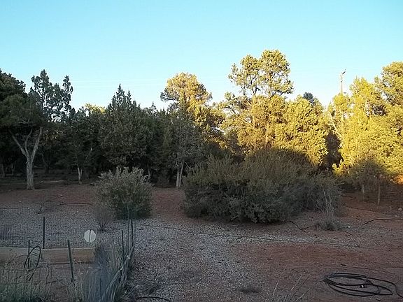 back yard w/small garden are