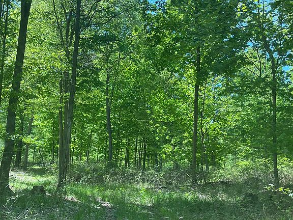3rd image of 3685 Cypress Rd