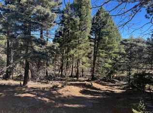 173 Taos Dr, Angel Fire, NM 87710