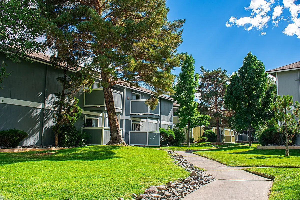 Village of the Pines — Photo 3