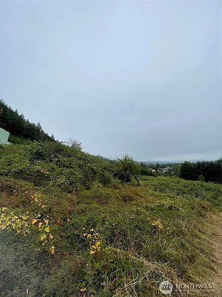 5th image of 47 Alexander Road
