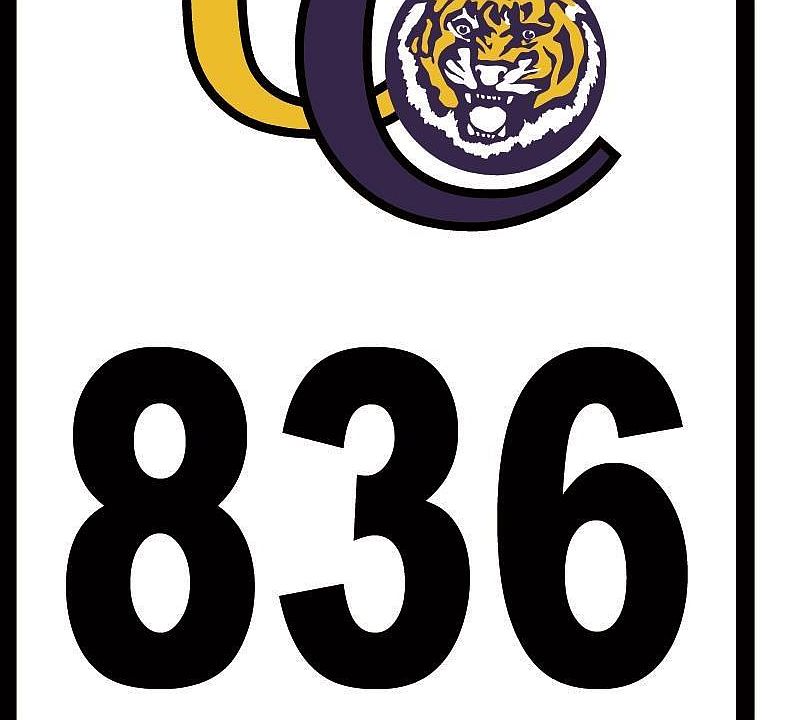 2nd image of 1720 Tiger Crossing Dr