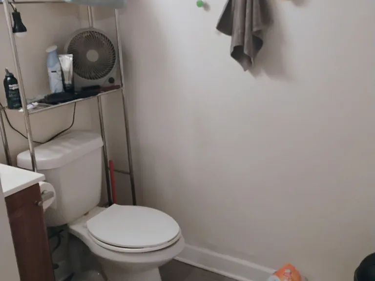 1729 Massachusetts St #7 — Photo 3