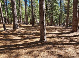 27141 Carson St, Pioneer, CA 95666