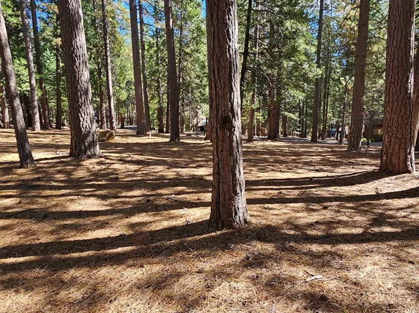 27141 Carson St, Pioneer, CA 95666