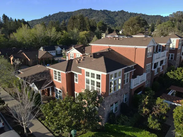 20 Camellia Circle, Larkspur, CA 94939