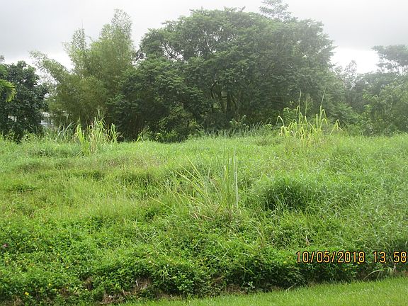 5th image of Ahi St Lot 76