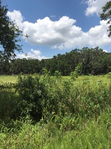 Keystone Ave, Saint cloud, FL, 34772