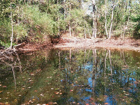 5th image of Joiner Rd