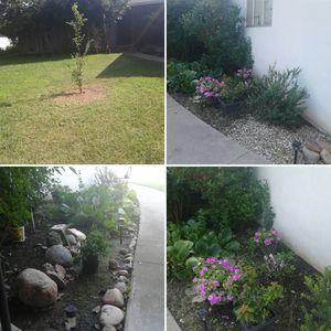 7025 Wilshire Cir, Sacramento, CA, 95822