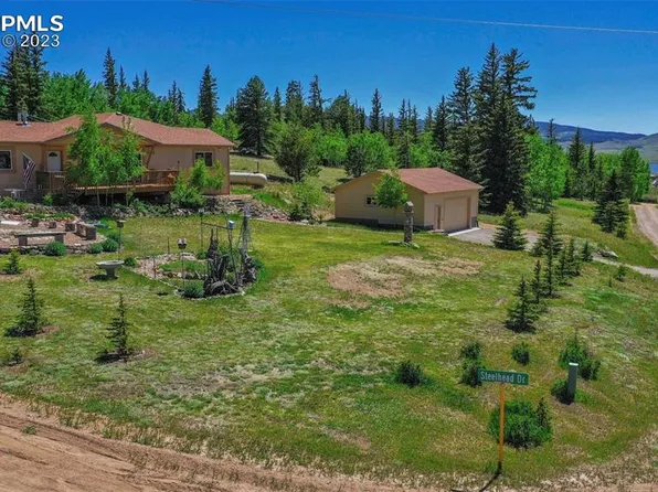 37 Steelhead Dr, Lake George, CO 80827