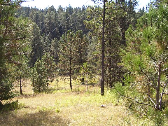 4th image of Sherwood Forest Rd Lot 2