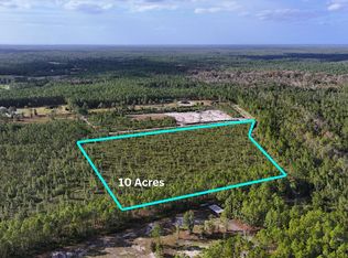 3 Chesser Hammock Rd, Pierson, FL 32180